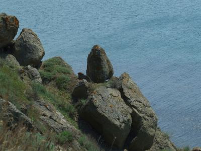 Прикрепленное изображение: 054.jpg